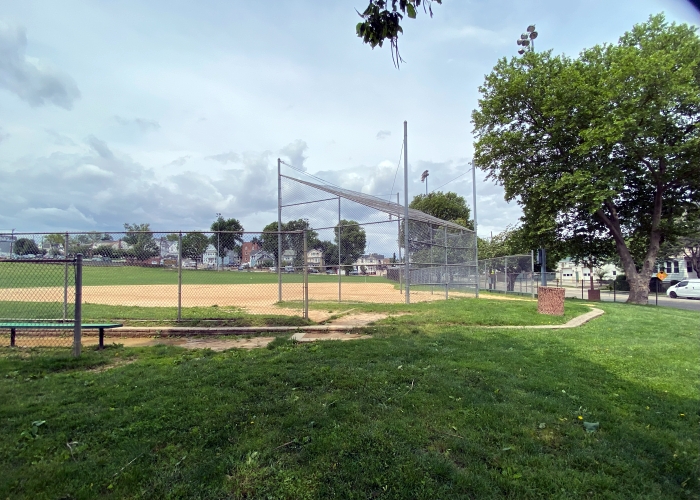 David & Baseball