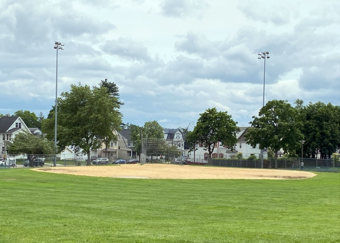 David & Baseball