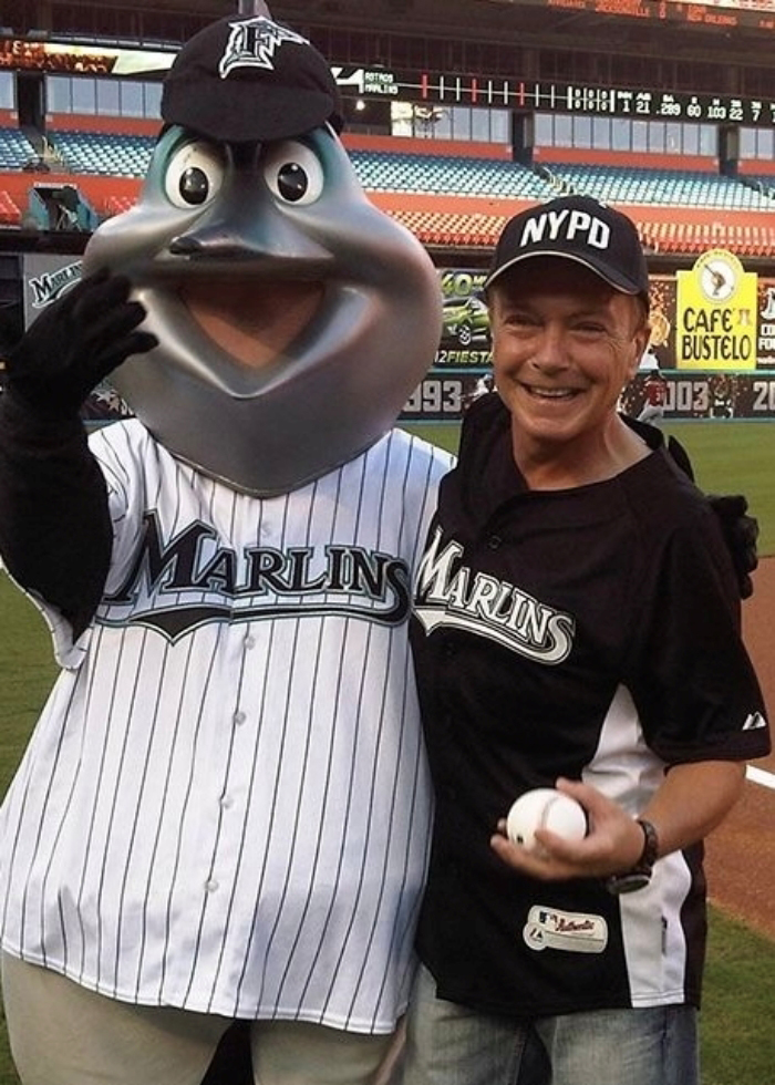David & Baseball