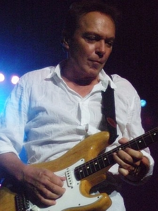 David Cassidy, Manchester UK 2008