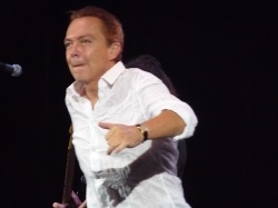 David Cassidy