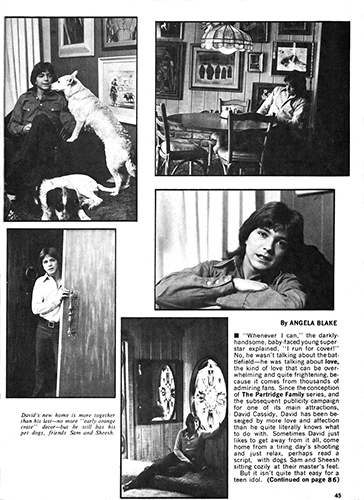 Screen Stars 1972