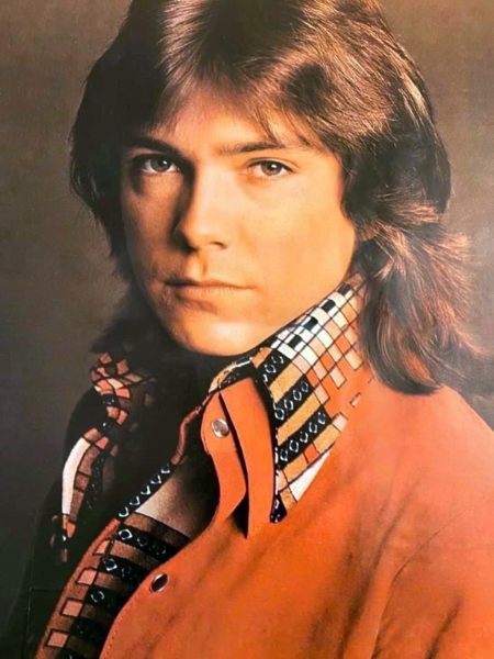 July 1972 Tiger Beat Love Posters Quarterly Magazine