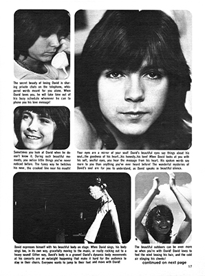 David Cassidy In Print - March 1972 Teen's Star Magazine