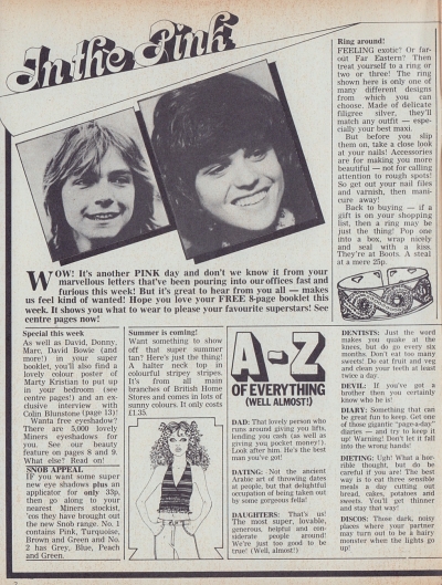 April 14, 1973 Pink Magazine