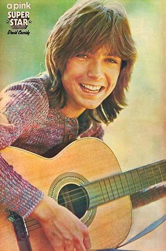 David Cassidy poster