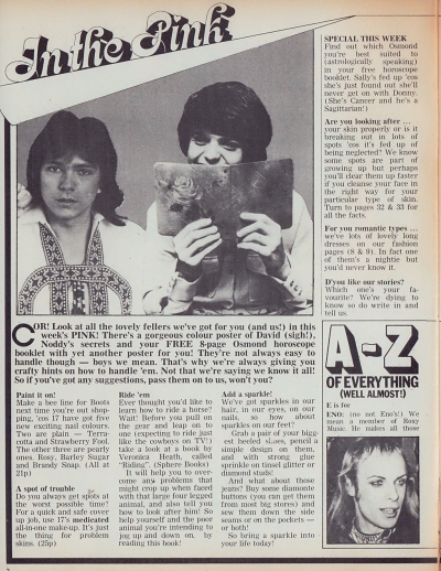 April 21, 1973 Pink Magazine