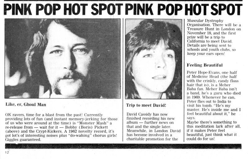 October 13, 1973 Pink Magazine