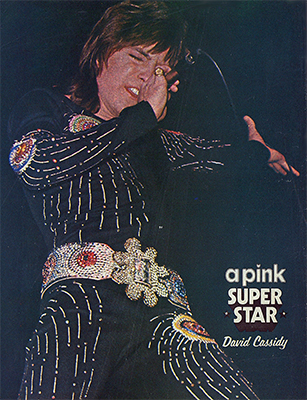 February 14, 1974 Pink Magazine poster