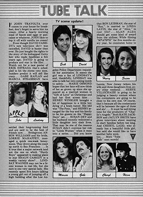 Tiger Beat Teen View March 1979