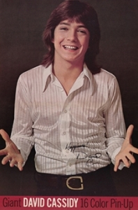 May 1971 poster