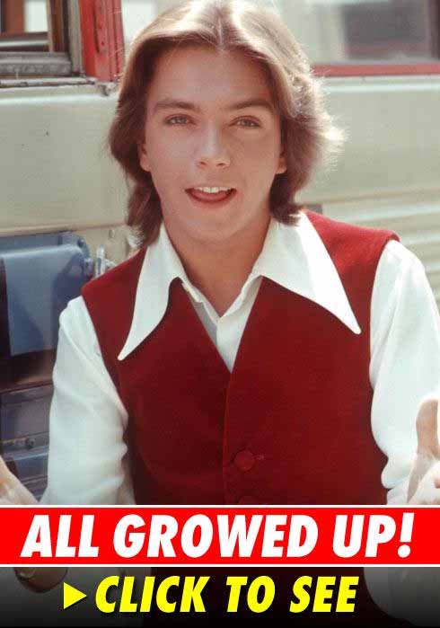 David Cassidy All Growed Up -  See Below