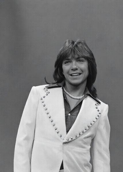 David sings If I Didn't Care