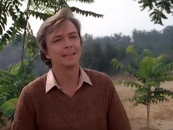 David Cassidy in Matt Houston