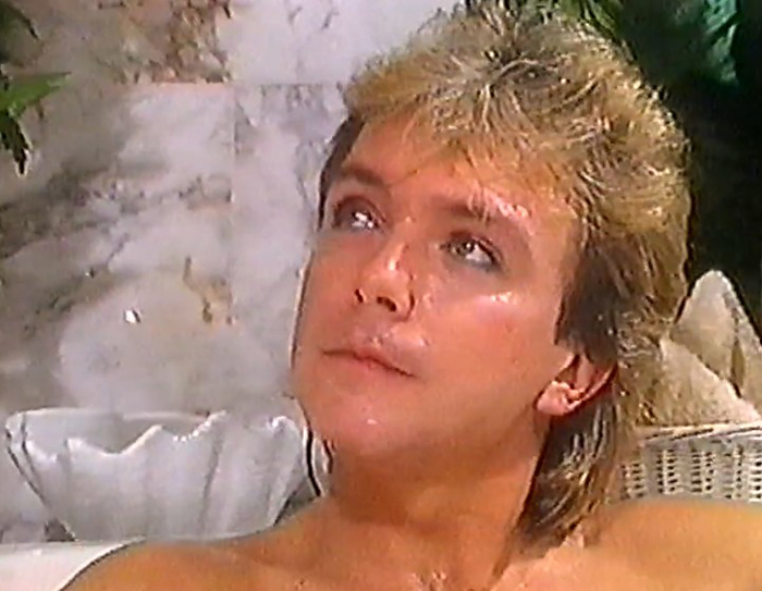 David Cassidy