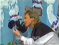 Wide Awake Club Picture