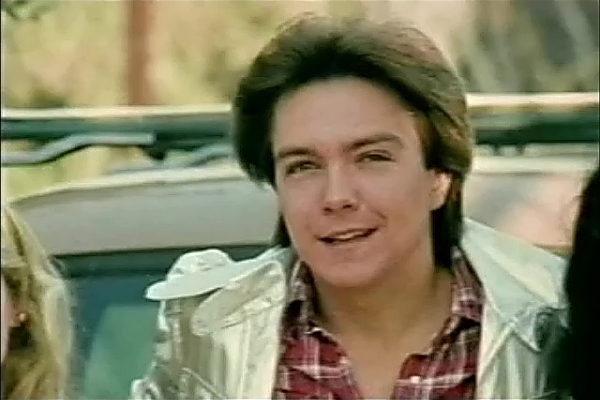 David Cassidy